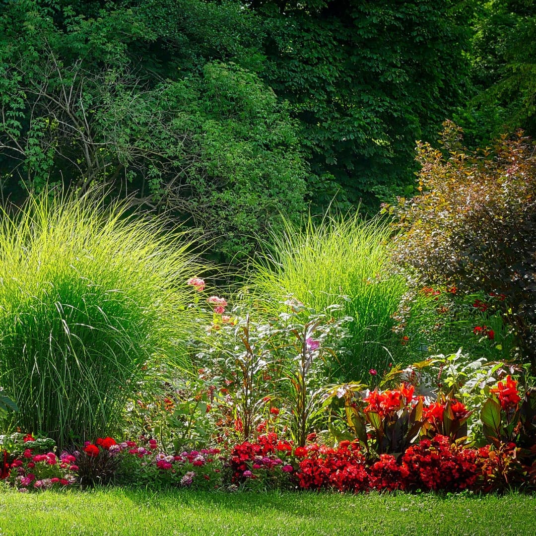 Gartenbau in Stäfa & Umgebung – moderne Gartengestaltung von Pünter Garten GmbH