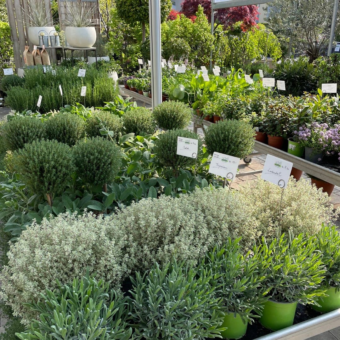 Gartenpflege